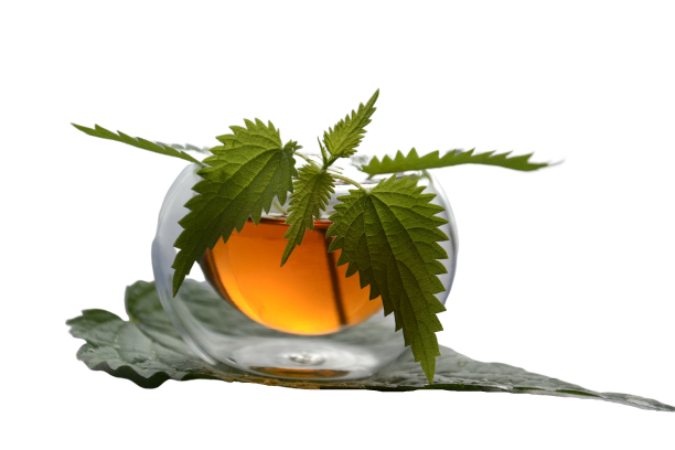 Infusion
