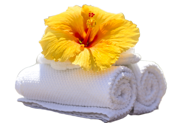 Serviette de toilette